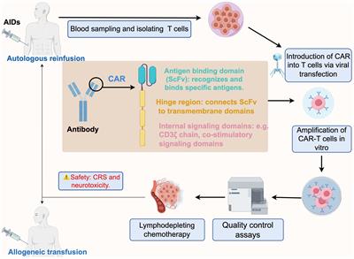 CAR immunotherapy in autoimmune diseases: promises and challenges